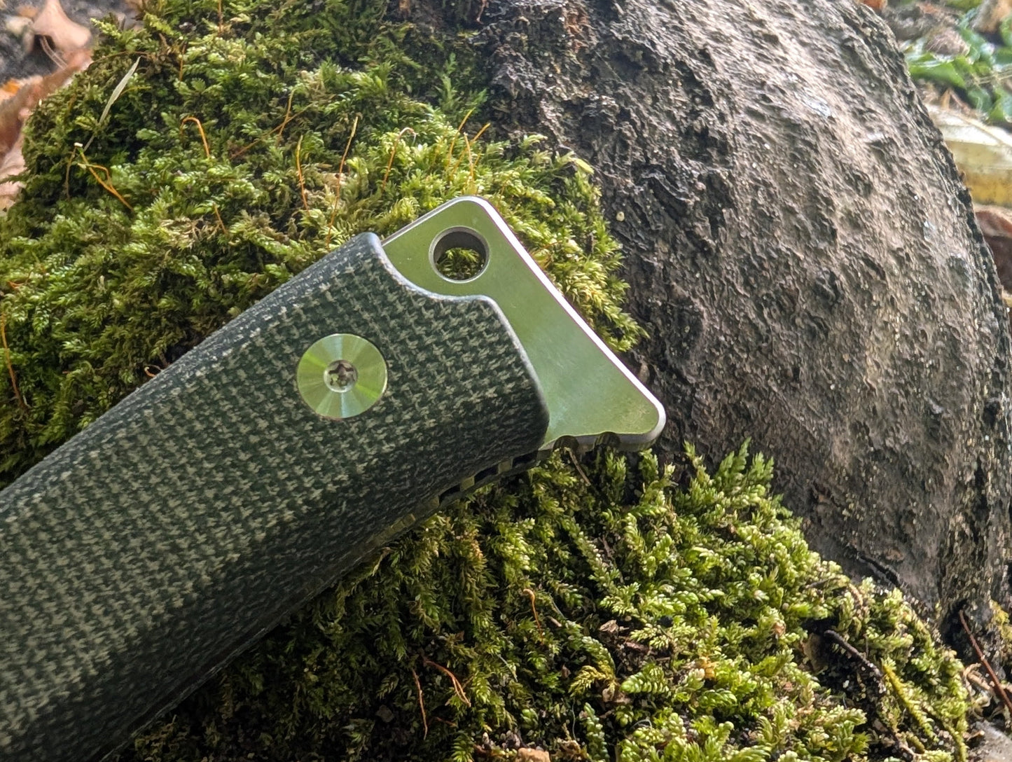 KORO - MICARTA VERT/ 14C28N - Couteau fixe MUGEN KNIVES